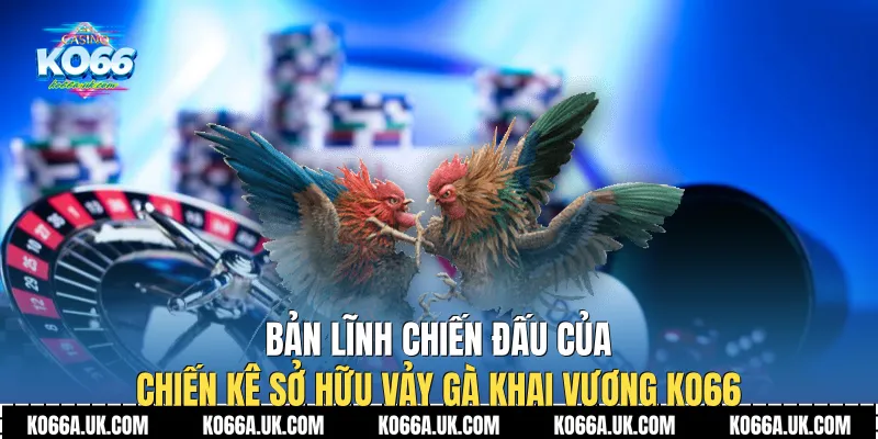 Bản lĩnh chiến đấu của chiến kê sở hữu Vảy Gà Khai Vương Ko66