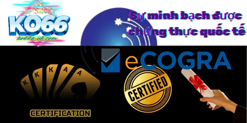 ko66a.uk.com-minh-bach